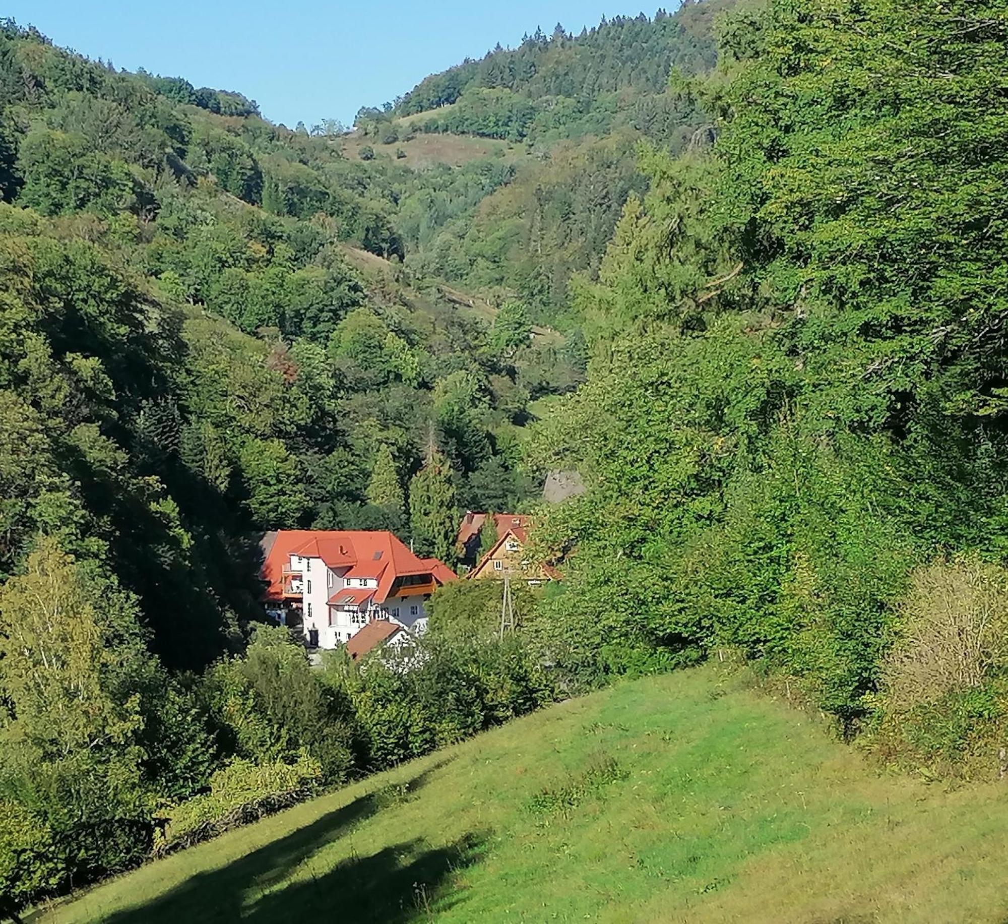 Huberhof Pfaffenbach Villa Генгенбах Екстериор снимка